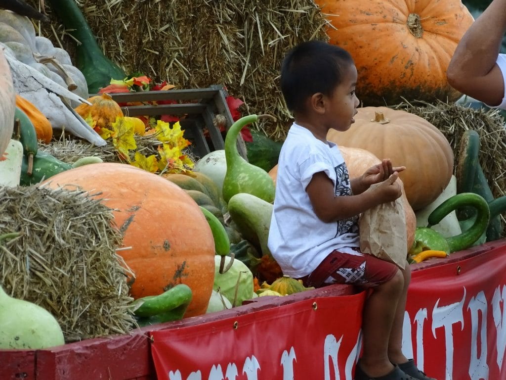 A child sits next to pumpkins