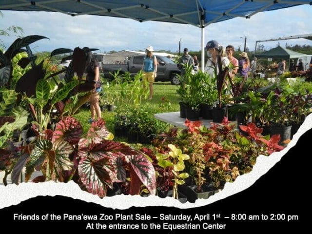 Pana’ewa Zoo hosting Spring Plant Sale on Saturday April 1