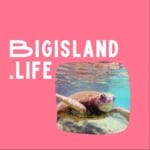 Bigisland.life